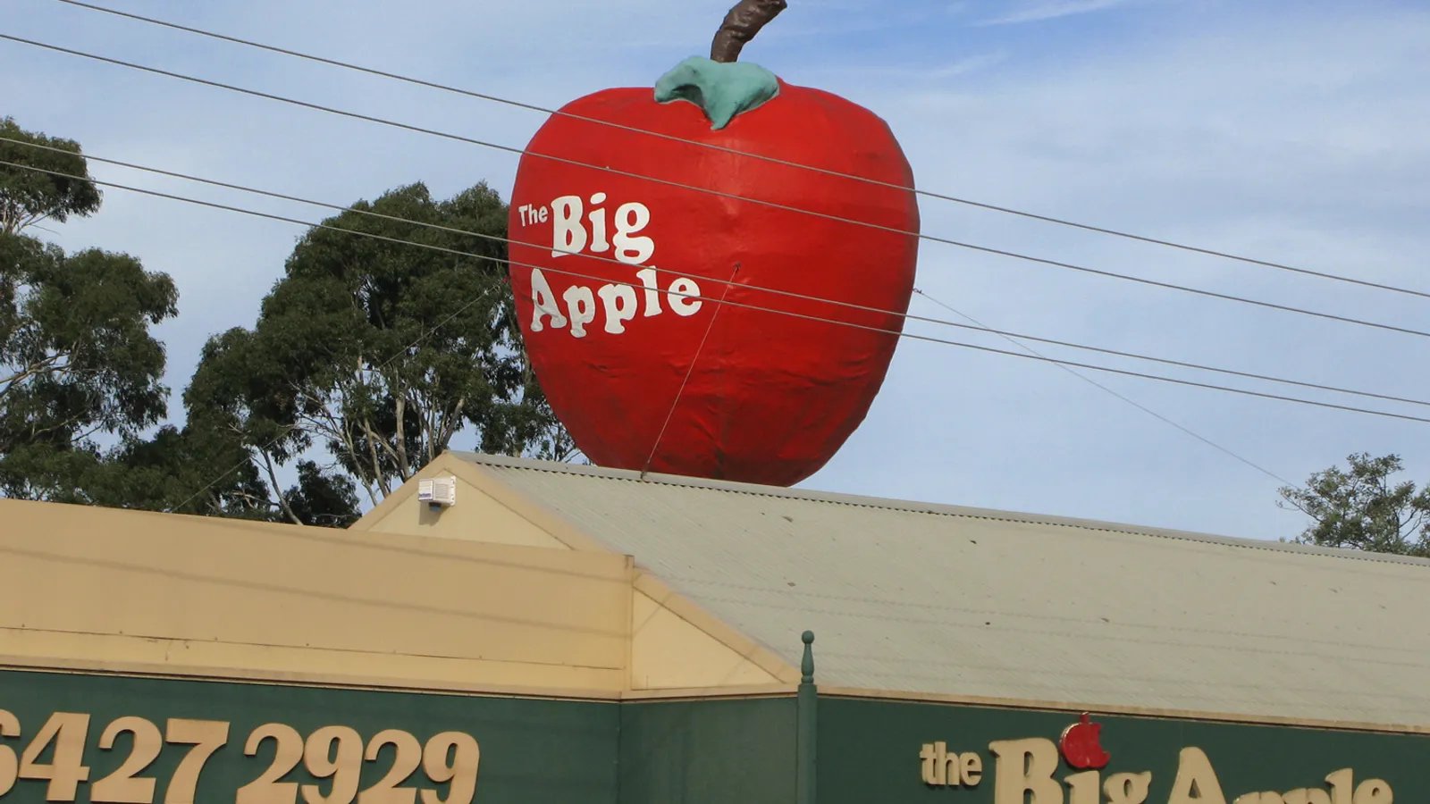 things to do in tasmania activities attractions — detail